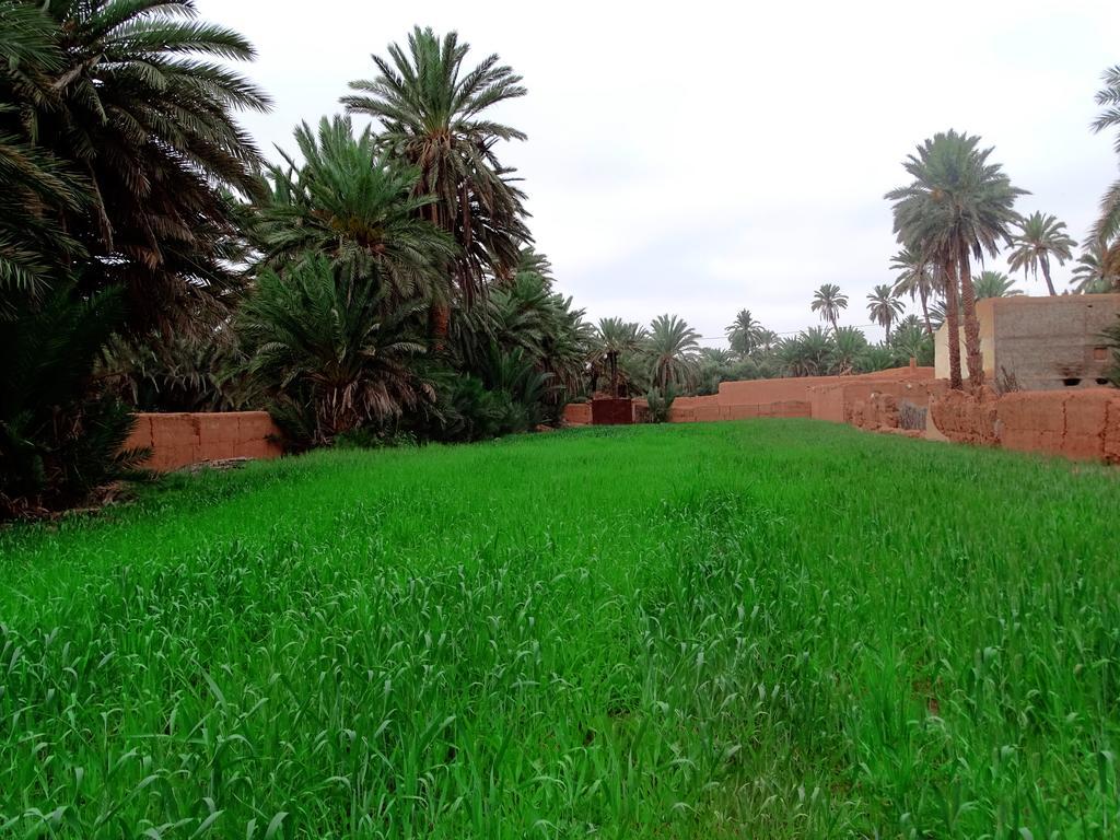 Bed & Breakfast Maison Nomades