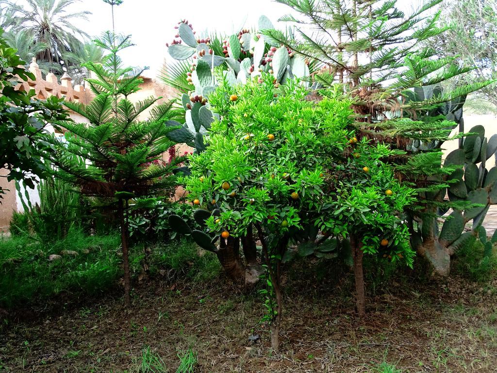 Bed & Breakfast Maison Nomades 3*